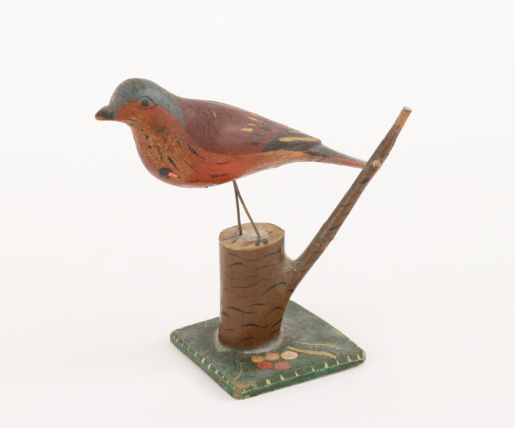 Träskuren fågel, 1900-talets första hälft