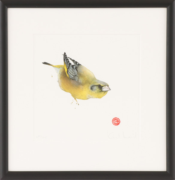 Karl Mårtens (f.1956)