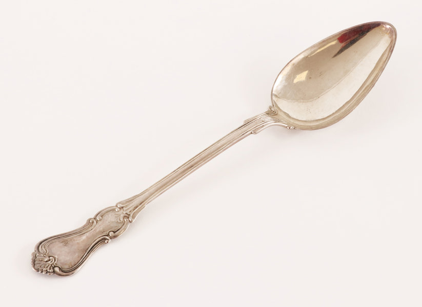 Ragusked i silver, 1877