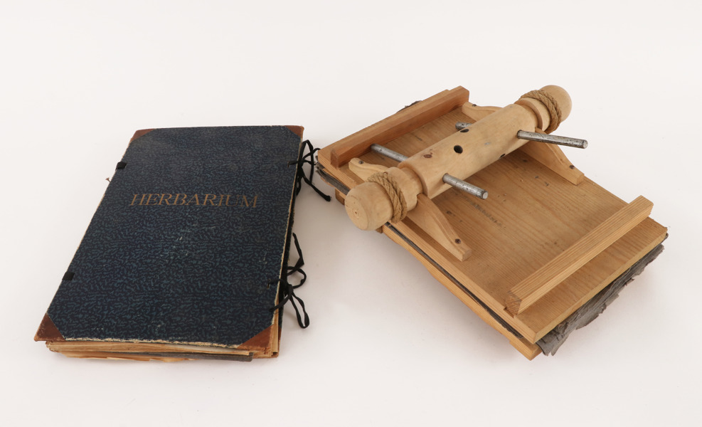 Herbarium samt växtpress, 1900-talets första hälft