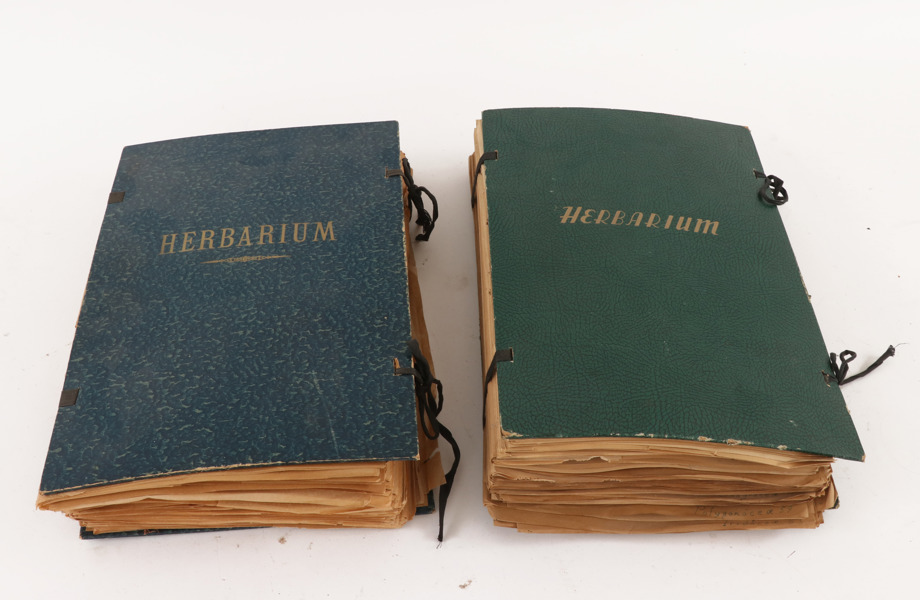 Herbarium 2st, bl.a. daterad 1915