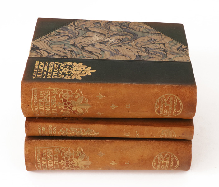3 band, "Bilder ur Nordens Flora", CAM Lindman, 1905