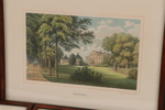 Litografiska blad 5st, 1800-tal