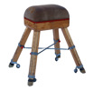 Gymnastikbock, 1900-tal