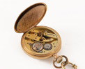 Fickur i 18k, Archimede
