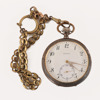 Fickur i silver, Zenith