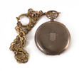 Fickur i silver, Zenith