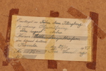 Tore Lundborg