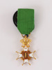 Medalj i 18k, Vasaorden