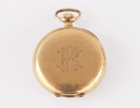 Fickur i 14k, Omega