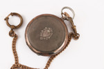 Fickur i silver, Omega
