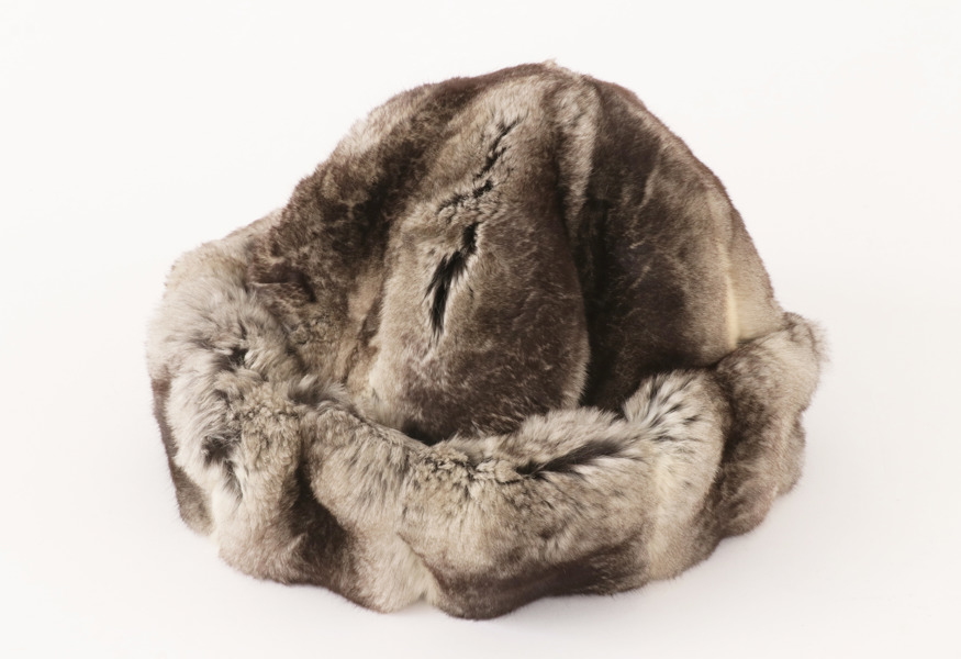Pälsmössa, chinchilla