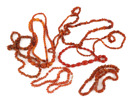Halsband 9st