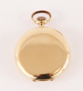 Fickur i 14k, Viking