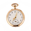 Damfickur i 14k