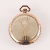 Fickur i silver, Helvetia