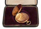 Fickur i 14k