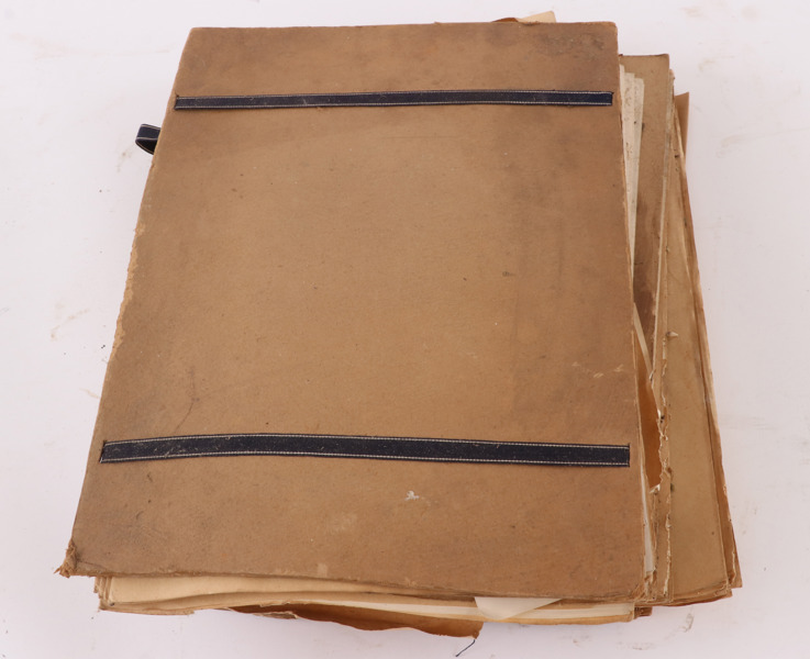 Herbarium med växter, daterat bl.a. 1896