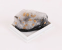 Mineral med guldbitar