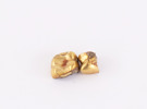 Tandguld 2 delar