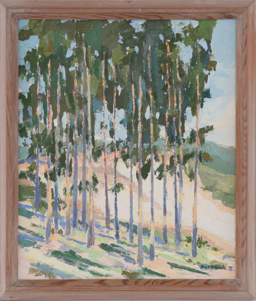 Stig EH Rousk (f.1934)