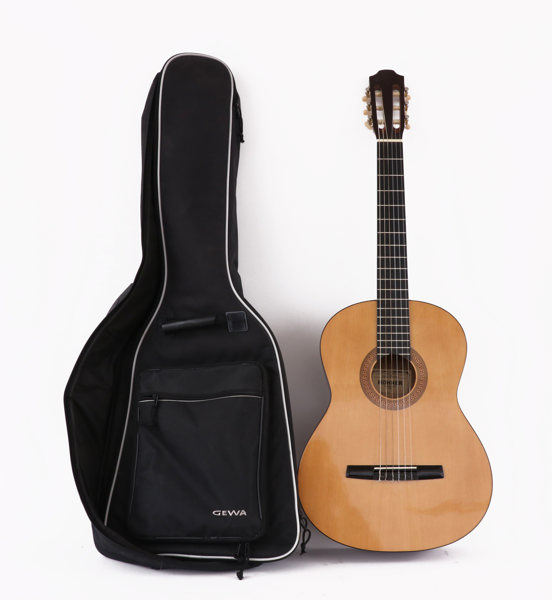 Akustisk gitarr, Hohner HC06
