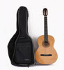 Akustisk gitarr, Hohner HC06