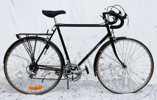 Sportcykel, Nishiki, Rally