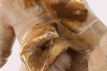 Kerub, 17/1800-tal