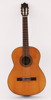 Akustisk gitarr, Ibanez GA50