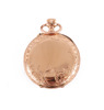 Damfickur i 14k