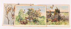 Skolplanscher 3st, omkring 1900-talets mitt