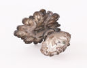 Saltkar i silver, nyrokoko, 1873