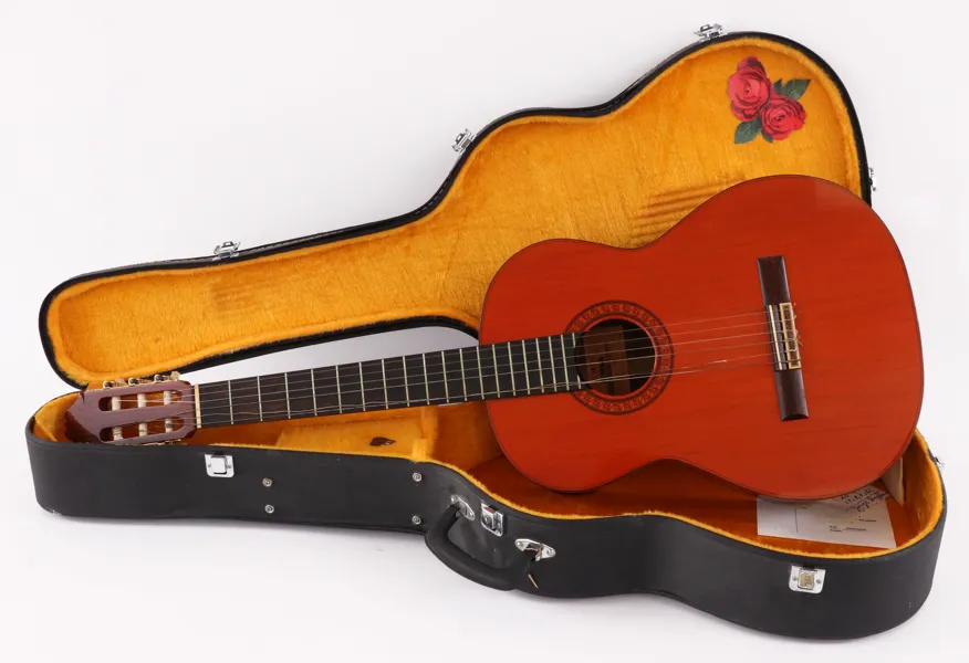 Akustisk gitarr, Aria