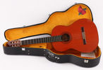 Akustisk gitarr, Aria