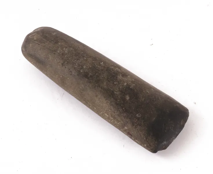 Stenyxa
