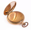 Fickur i 14k