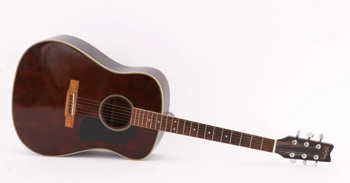 Akustisk gitarr, Washburn