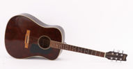 Akustisk gitarr, Washburn