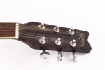 Akustisk gitarr, Washburn