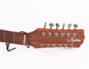 Akustisk gitarr, Bjärton, D-120