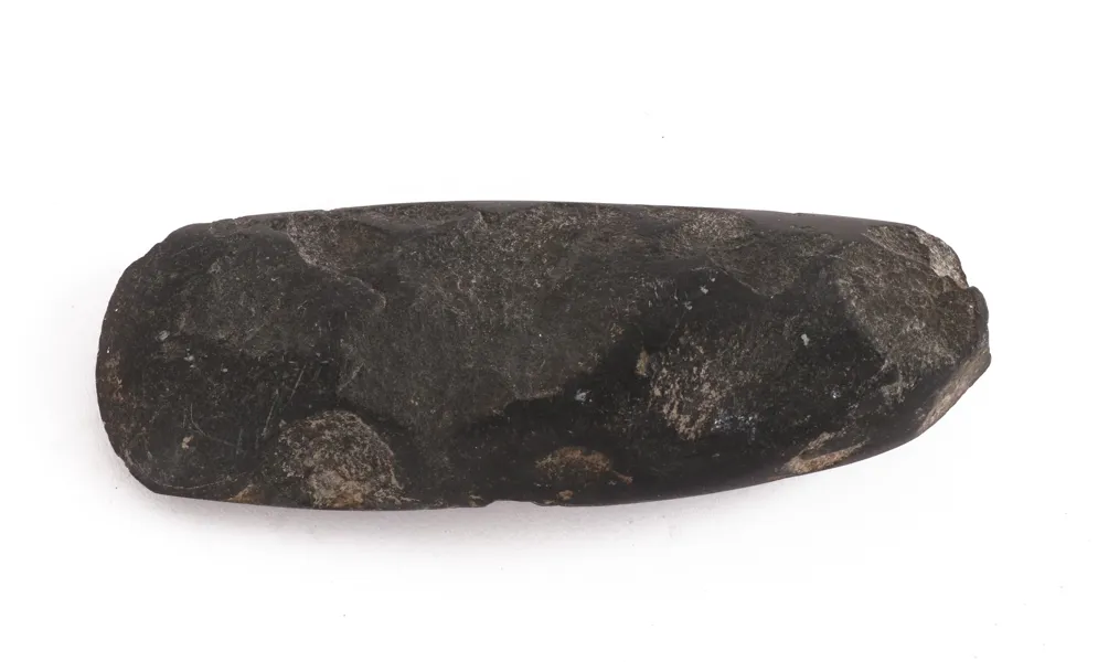 Stenyxa