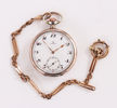 Fickur i silver, Omega