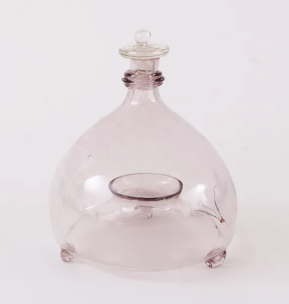 Flugfångare, 1800-tal