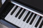 Elpianoa, Yamaha, Arius, YDP-141