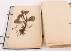 Herbarium, 1900-talets första hälft