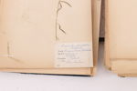 Herbarium, 1900-talets första hälft