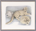 Lennart Sand (f.1946)