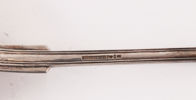 Soppslev i silver, 1872