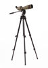 Kikare, Kowa Prominar TSN-3